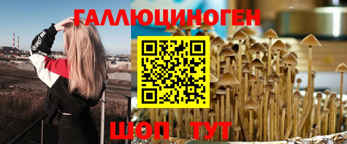 Галлюциногенные грибы прущие грибы Егорьевск