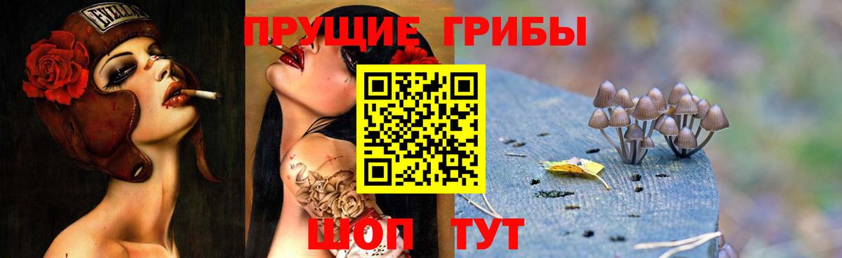 Галлюциногенные грибы мицелий  Вход с VPN  Егорьевск  Псилоцибиновые грибы Cubensis 