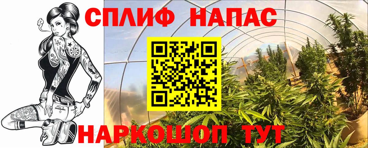 Конопля THC 21%  Каннабис MAZAR  Вход с VPN  Егорьевск 